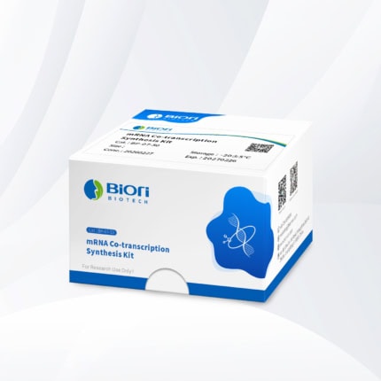 mRNA Co-transcription and Synthesis Kit