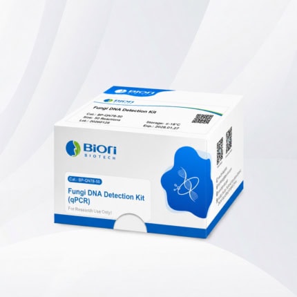 Fungi DNA Detection Kit (qPCR)