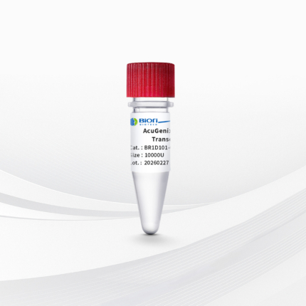 AcuGenix Reverse Transcriptase