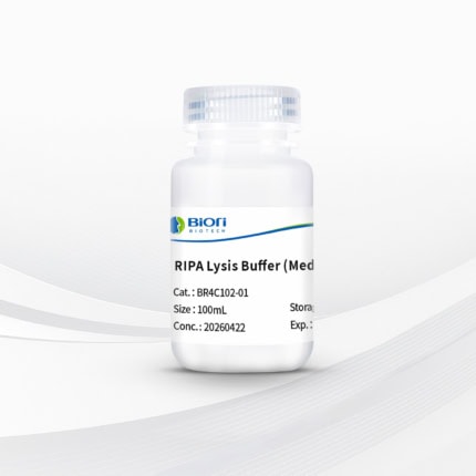 RIPA Lysis Buffer (Medium)