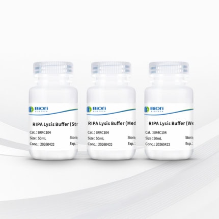 RIPA Lysis Buffer Set
