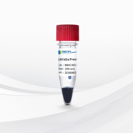 180 kDa Prestained Protein Marker