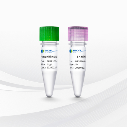 AmpHifi HS DNA Polymerase-V3