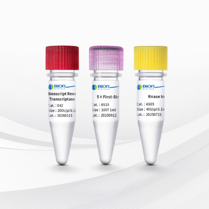 Neoscript Reverse Transcriptase-V2