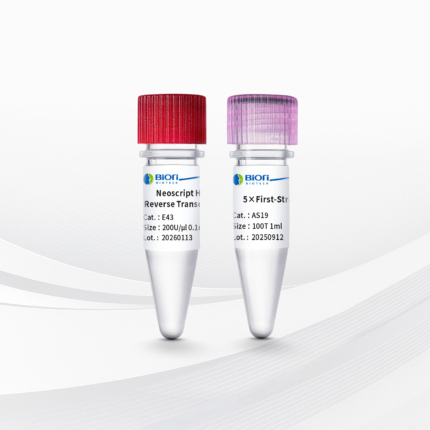 Neoscript Hot Start Reverse Transcriptase-V2