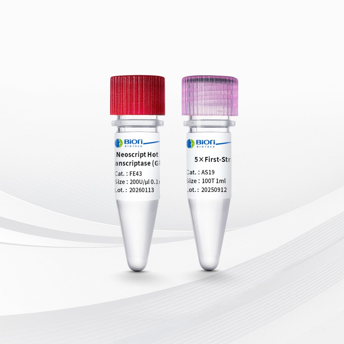 Neoscript Hot Start Reverse Transcriptase (Glycerol-Free)-V2