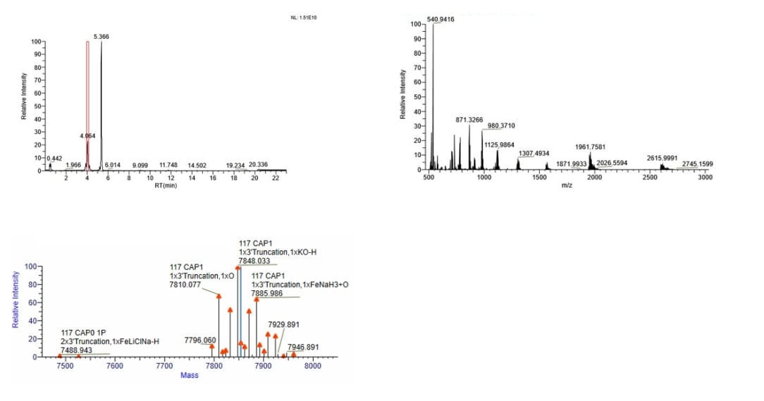 BP-04-50 mRNA Capping Kit: Figure 1 The result of the cap attachment rate determined by LC-MS.
