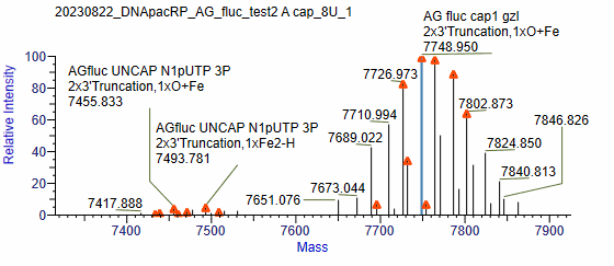BP-05-10 Pre-treatment Kit for mRNA Capping Rate Detection: Figure 10 LC-MS instrumental readout of samples pretreated by Operator B.