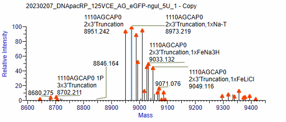 BP-05-10 Pre-treatment Kit for mRNA Capping Rate Detection: Figure 11 LC-MS instrumental readout of enzymatically capped samples