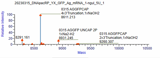 BP-05-10 Pre-treatment Kit for mRNA Capping Rate Detection: Figure 12 LC-MS instrumental readout of co-transcriptionally capped samples