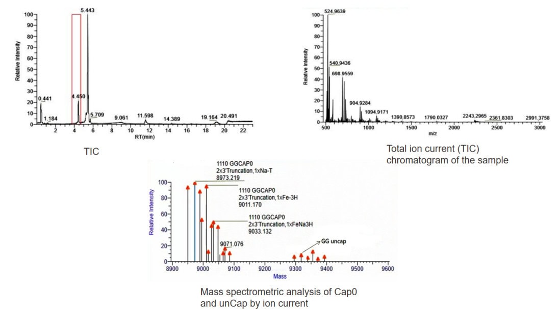 BP-05-10 Pre-treatment Kit for mRNA Capping Rate Detection: Figure 2 LC-MS instrumental readout graph from the kit.
