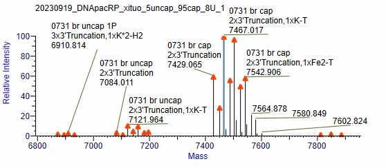 BP-05-10 Pre-treatment Kit for mRNA Capping Rate Detection: Figure 7 First, mix 5% uncapped RNA and 95% capped RNA, and then process them using the kit.