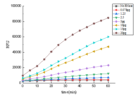 BP-06-100 RNase Residual Quantitative Detection Kit: Figure 3 Time course of fluorescence intensity for the detection of various amounts of RNase A using this kit over a 60 minutes period