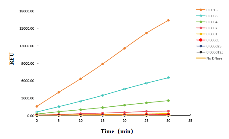 BP-16 DNase Residual Quantitative Detection Kit (Fluorescent Probe Method): Figure 2 Time course of fluorescence intensity for the detection of various amounts of DNase I using this kit over a 30 minutes period