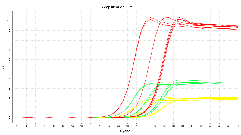 BR1E101 AcuGenix™ Robustart qPCR Master Mix (Universal ROX): Amplification plot