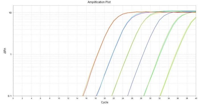 BR1E102 AcuGenix™ FastAmpli qPCR Master Mix (Universal ROX): Fig. 1 Amplification plot
