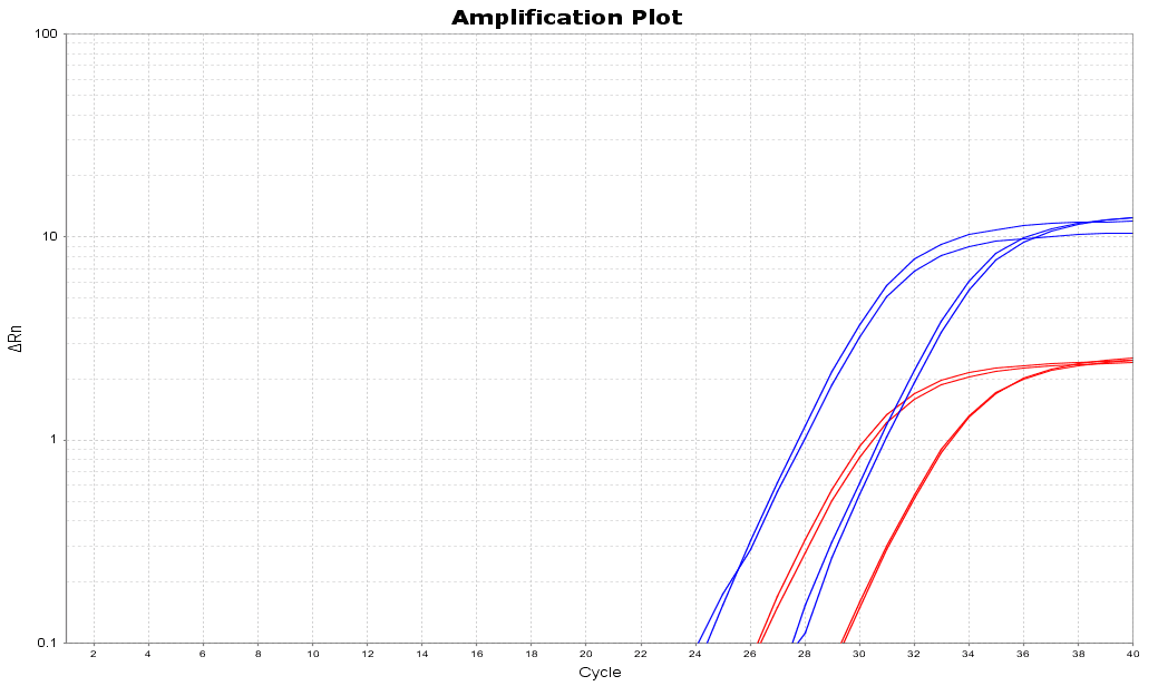 BR1E102 AcuGenix™ FastAmpli qPCR Master Mix (Universal ROX): Fig. 14 Q5 Standard Program (58 min)