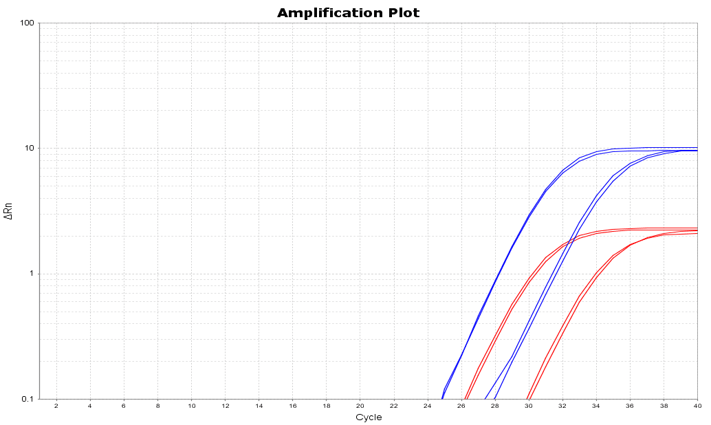 BR1E102 AcuGenix™ FastAmpli qPCR Master Mix (Universal ROX): Fig. 15 Q5 Fast Program (30 min)