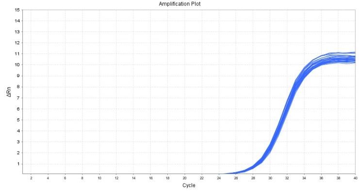 BR1E102 AcuGenix™ FastAmpli qPCR Master Mix (Universal ROX): Fig. 3 Amplification plot