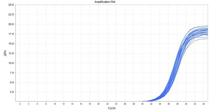 BR1E102 AcuGenix™ FastAmpli qPCR Master Mix (Universal ROX): Fig. 5 Amplification plot