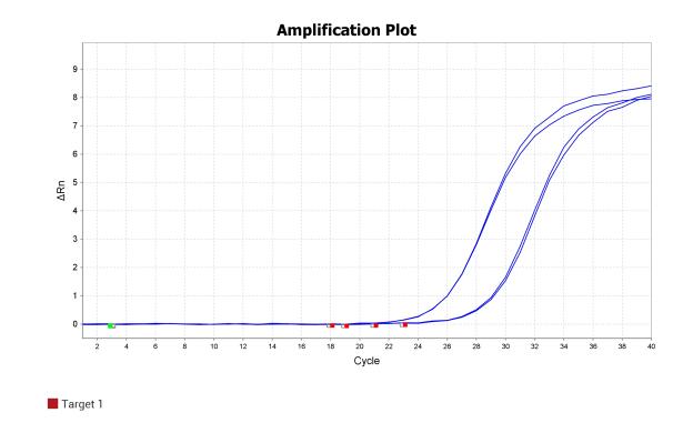 BR1F103 AcuGenix™ Neoscript Fast RT qPCR Master Mix (Universal ROX): CAD amplification plot