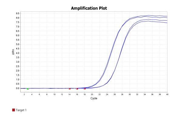 BR1F103 AcuGenix™ Neoscript Fast RT qPCR Master Mix (Universal ROX): CsActin-2 amplification plot