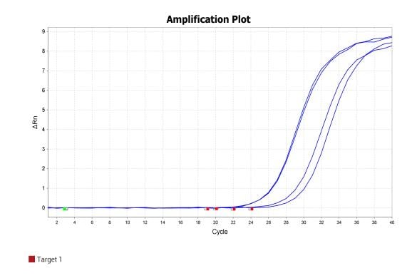 BR1F103 AcuGenix™ Neoscript Fast RT qPCR Master Mix (Universal ROX): SpoActin-1 amplification plot