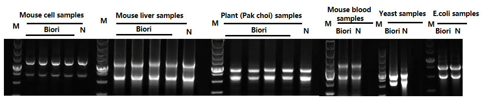 BR2B101 AcuGenix™ Brizol Reagent: High-quality extracted RNA