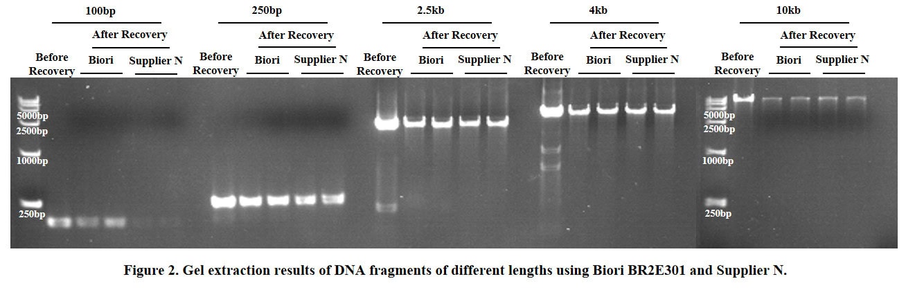 BR2E301 Universal DNA Purification Kit: Gel extraction recovery efficiency and quality testing results