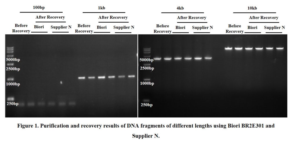 BR2E301 Universal DNA Purification Kit: Purification recovery efficiency and quality testing results