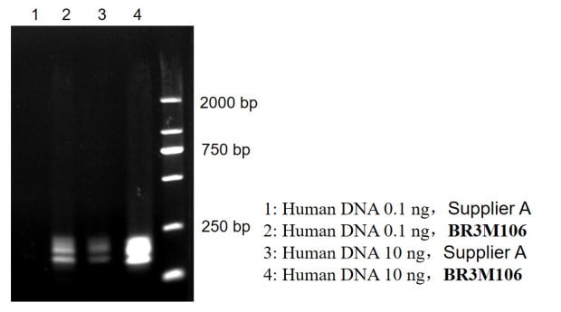 BR3M106 AcuGenix™ Mul-PCR Kit: Figure 1 Competitive comparison of amplification efficiency and sensitivity