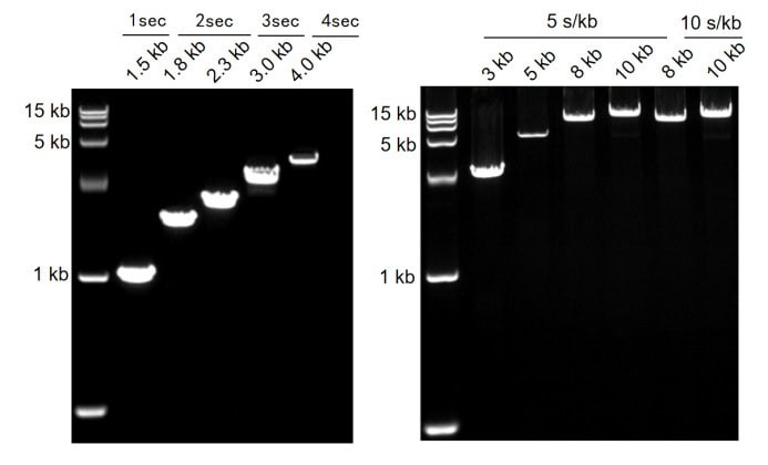 BR3M121 AcuGenix™ LongR Super-Fidelity Master Mix: Figure 1. Extension rate evaluation for 1.5 kb–10 kb amplicons