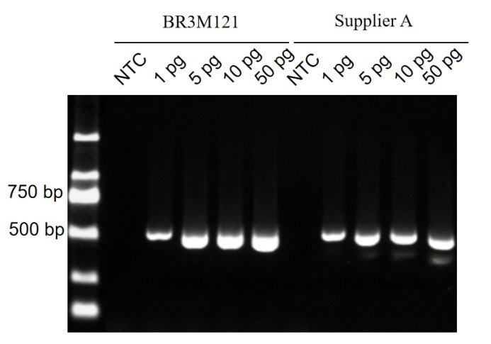 BR3M121 AcuGenix™ LongR Super-Fidelity Master Mix: Figure 3. Sensitivity benchmarking (1 pg–50 pg input) vs. competitors