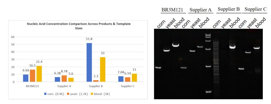 BR3M121 AcuGenix™ LongR Super-Fidelity Master Mix: Figure 4. Performance on crude extracts (whole blood, maize, yeast) vs. competitors