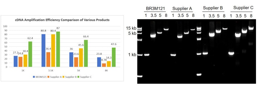 BR3M121 AcuGenix™ LongR Super-Fidelity Master Mix: Figure 4 (panel 2) performance on crude extracts vs. competitors