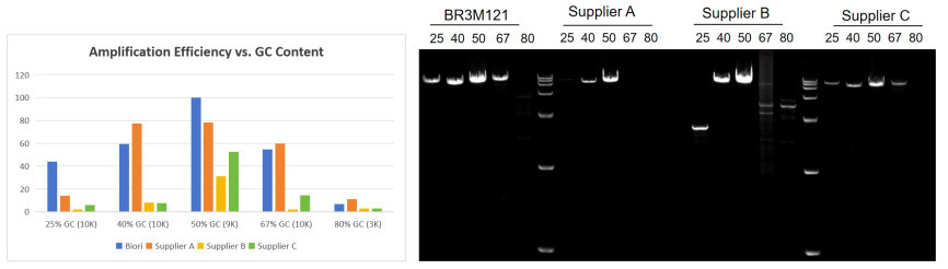 BR3M121 AcuGenix™ LongR Super-Fidelity Master Mix: Figure 6. Performance on 25%–67% GC targets vs. competitors