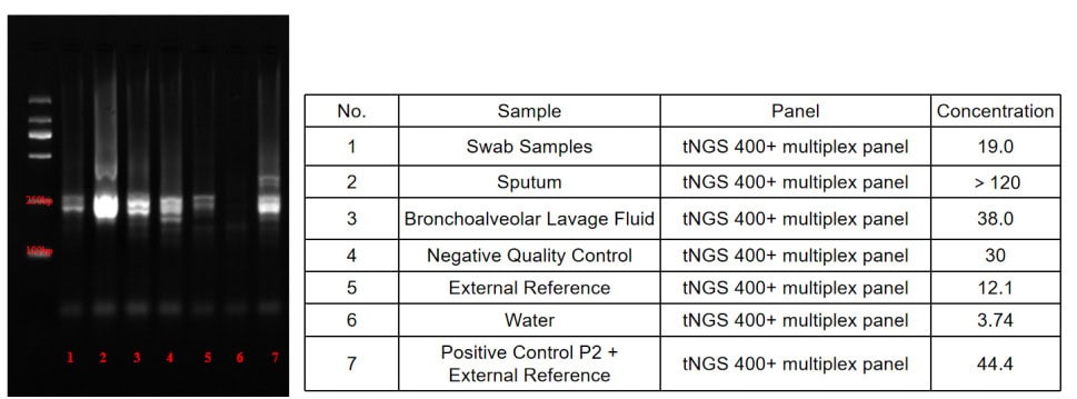 BR3M303 AcuGenix™ Mul-PCR Mix for DNA&RNA: Figure 1 Performance validation in ultra-multiplex RT-PCR workflows