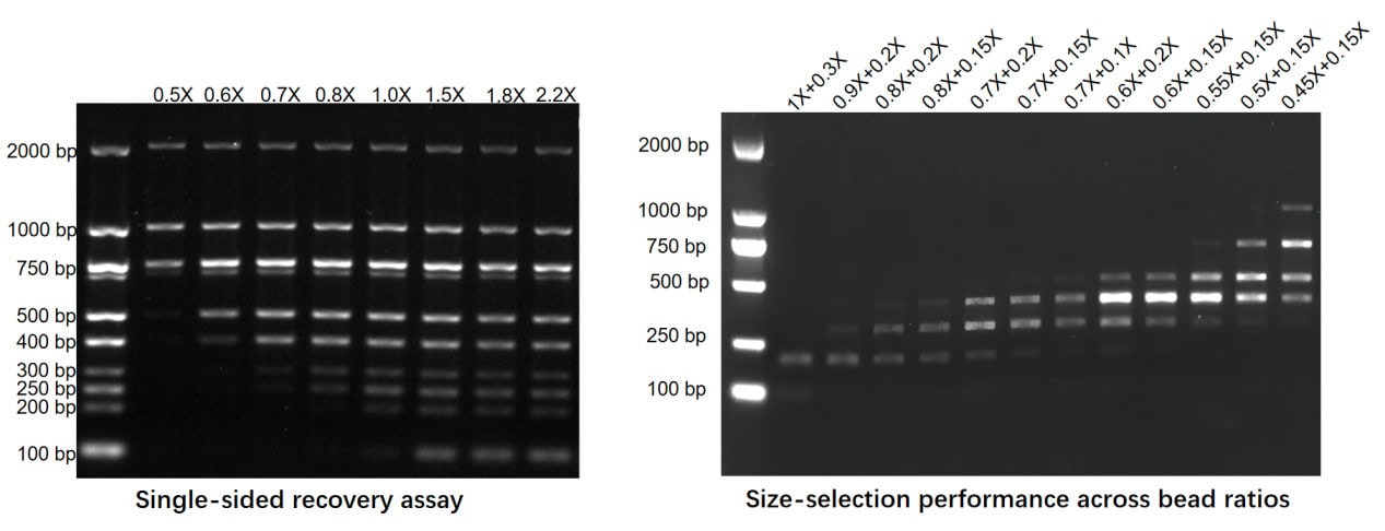 BR3N401 AcuGenix™ NGS DNA Clean Beads: Figure 4. Tunable size selection with preferential long-fragment binding