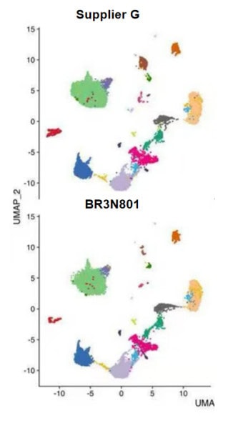 BR3N801 AcuGenix™ First-Strand cDNA Synthesis Kit (for Single-Cell 3′ RNA-Seq): Figure 5 (panel 2) drop-in equivalence to the Supplier G full workflow
