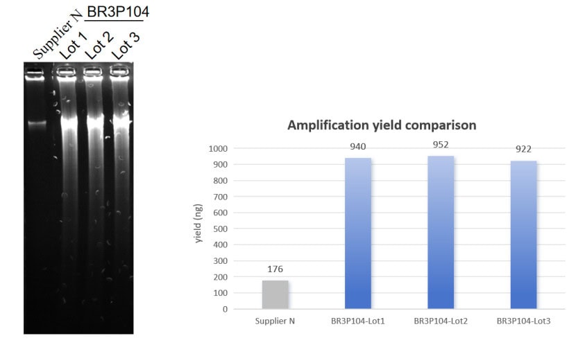 BR3P104 AcuGenix™ phi29 DNA Polymerase: Figure 1. Amplification Efficiency Comparison with 0.1 ng Genomic DNA Input