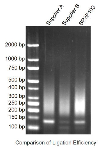 BR3P301 T4 DNA Ligase: Figure 1. High ligation efficiency and specificity of BR3P301