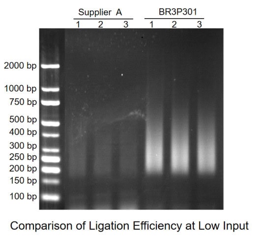 BR3P301 T4 DNA Ligase: Figure 2. Superior ligation performance at low input