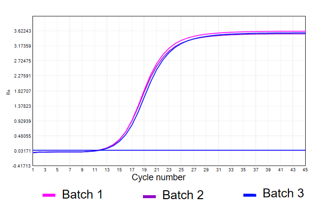 BR3P301 T4 DNA Ligase: Figure 3. Inter-batch consistency of BR3P301 ligation