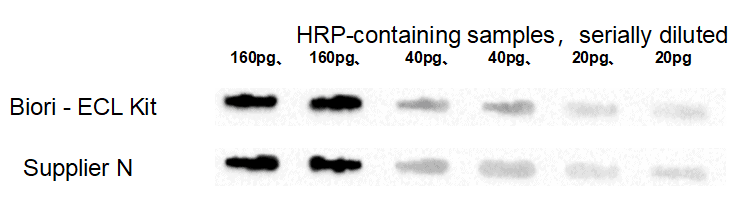 BR4D602 ECL Chemiluminescent Substrate Kit: Rapid loading detection of HRP-containing samples