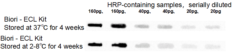 BR4D602 ECL Chemiluminescent Substrate Kit: Stability evaluation