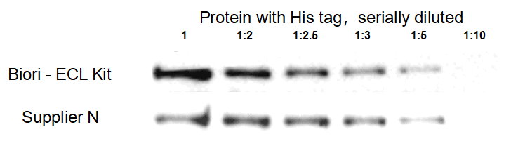 BR4D602 ECL Chemiluminescent Substrate Kit: WB detection of protein with His tag