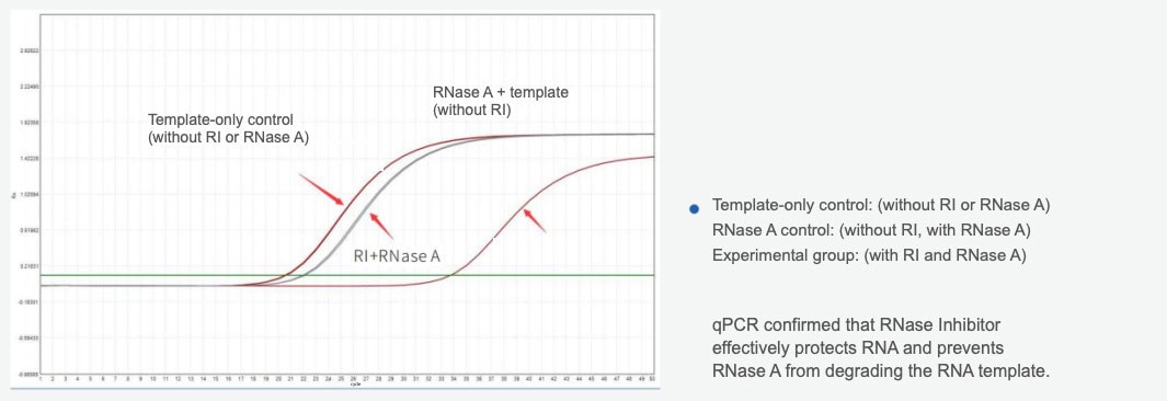 GMP-BP-E02 RNase Inhibitor GMP-grade: Figure 1 The results of the qPCR-based verification of the protective effect of RNase Inhibitor on RNA
