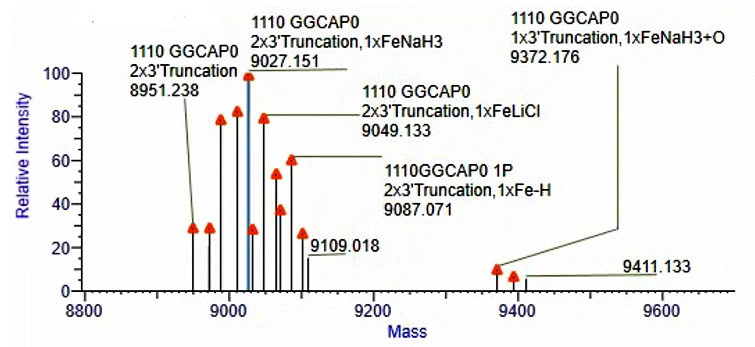 GMP-BP-E05 Vaccinia Capping Enzyme GMP-grade: Figure 2 The determination results of the capping rate of the medium-dose VCE capped samples.