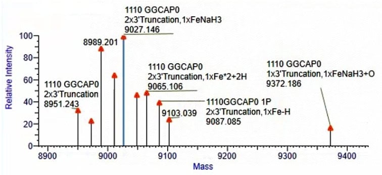 GMP-BP-E05 Vaccinia Capping Enzyme GMP-grade: Figure 3 The determination results of the capping rate of the high-dose VCE capped samples.