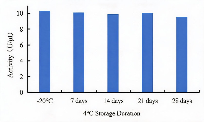 GMP-BP-E09 BspQ I GMP-grade: Figure 2 Activity of Biori BspQ I GMP-grade over 28 days of storage at 4°C.